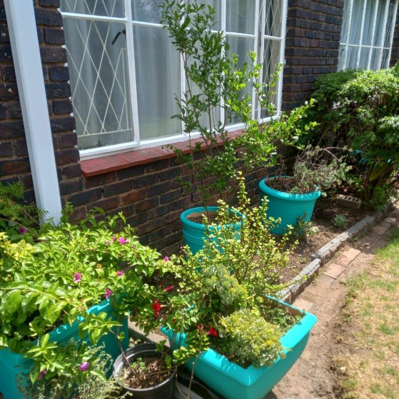 Apartment Flat for Sale in Beverley Gardens 020